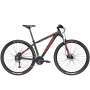 Bicicleta marca trek